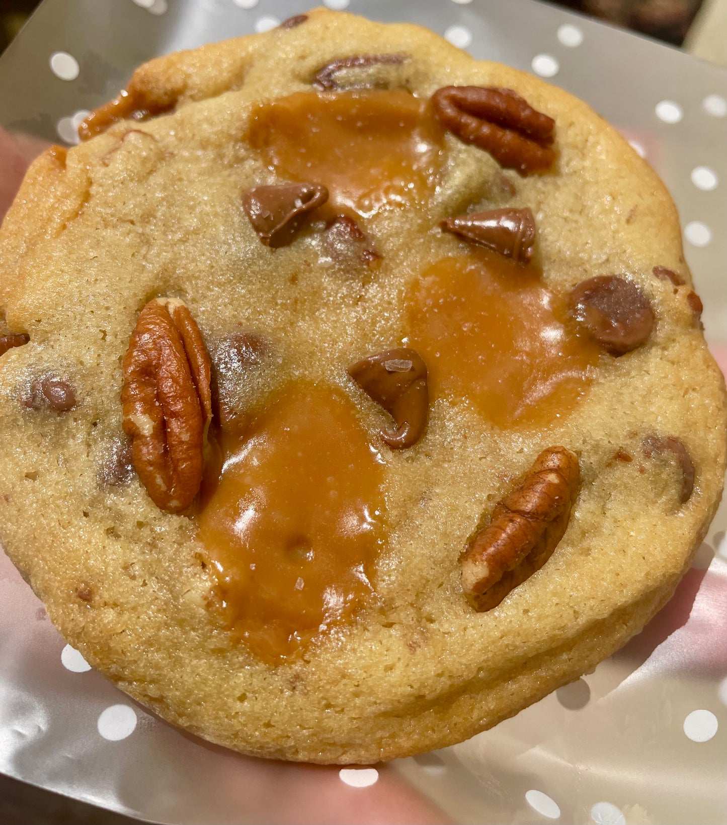 Turtle Cookie