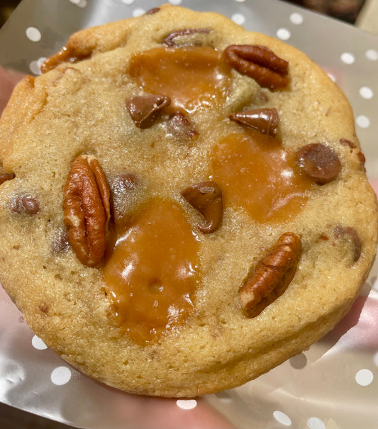 Turtle Cookie